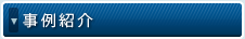 事例紹介