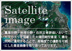 Satellite image