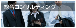 総合コンサルティング