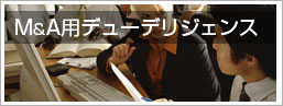 M&A用デューデリジェンス